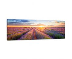 Keilrahmenbild Lavendelfeld in Südfrankreich - Bild auf Leinwand - 160x50 cm Leinwandbilder Landschaften blühende Felder Provence Lila