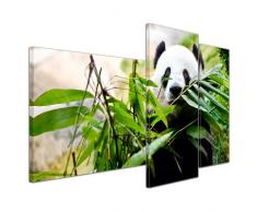 Wandbild - Pandabär - Bild auf Leinwand 130x80 cm 3 teilig - Leinwandbilder Bilder als Leinwanddruck Tierbild Wildtiere - bedrohte Tiere - China