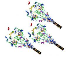 3 Stück Konfettikanone Party Popper Konfetti Shooter Kanone Länge 11cm