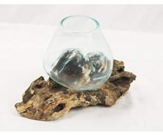 Asia Design Gamal Wurzelholz Glasvase Ø Glas 10-12 cm Teakholz Vase Glas (12cm)