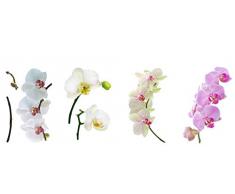 8 x Fenstersticker Orchidee, Orchideen, Blume, Fensterbilder, Windowsticker, Fensterdeko, Fenster Tattoo, Fliesensticker, Fliesenaufkleber, Fensterfolie, mehrmals wiederverwendbar