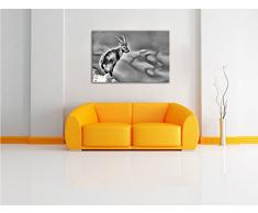 Monocrome, Steinbock im Schnee , Format: 100x70 auf Leinwand, XXL riesige Bilder fertig gerahmt mit Keilrahmen, Kunstdruck auf Wandbild mit Rahmen, günstiger als Gemälde oder Ölbild, kein Poster oder Plakat