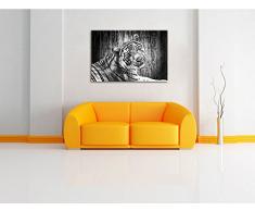 schöner neugieriger Tiger schwarz/weiß Format: 100x70 auf Leinwand, XXL riesige Bilder fertig gerahmt mit Keilrahmen, Kunstdruck auf Wandbild mit Rahmen, günstiger als Gemälde oder Ölbild, kein Poster oder Plakat