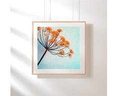 Fotografie Print Kunstdruck 12x12cm Dill Blüte Flower