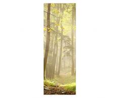 wandmotiv24 Türtapete Waldweg 70 x 200cm (B x H) - Dekorfolie selbstklebend Tapete, Tür-Aufkleber, Türbild, Wandbild M0024