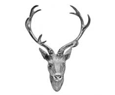 Hirschgeweih Hirschkopf Geweih