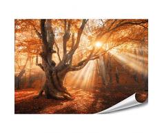 PMP-4life XXL Poster Magischer Wald | 140x100cm | hochauflösendes XXL Fotoposter Alter-Baum | Natur Poster extra groß | XL Wand-deko Bild Landschaft Bäume Blumen Wald