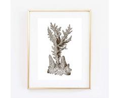 Din A4 Kunstdruck ungerahmt - Koralle Korallenzweig Maritim Hampton Style Vintage Badezimmer Druck Poster Bild