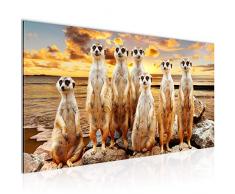 Bilder Afrika Erdmännchen Wandbild Vlies - Leinwand Bild XXL Format Wandbilder Wohnzimmer Wohnung Deko Kunstdrucke Braun 1 Teilig - MADE IN GERMANY - Fertig zum Aufhängen 005512b