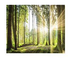decomonkey Fototapete Wald 250x175 cm Tapete Wandbild Bild Fototapeten Tapeten Wandtapete Landschaft Baum Natur