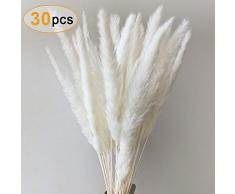 Sporgo Pampasgras, Natürliche Pampasgras Getrocknet Pampas Gras Phragmites Trockenblumen Blumenstrauß Deko für Hause Wohnzimmer Inneneinrichtungen Fotografie Hotel Hochzeit 60CM (Weiß)