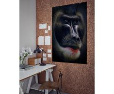 artboxONE Poster 60x40 cm Reise / Afrika Drill hochwertiger Design Kunstdruck - Bild Reise / Afrika von AD Design