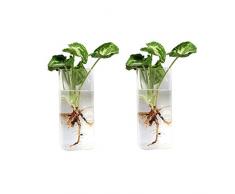 Cratone 2 Stücke Glas Wandvase Pflanzgefäße zum Aufhängen, Blumentopf Glaskugeln Terrarium für Hydrokultur Topfpflanzen,Hause Wohnzimmerwand deko