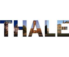 INDIGOS UG - WANDTATTOO / Wandsticker / Wandaufkleber / Aufkleber farbige Wandschrift Städtename Thale mit Sehenswürdigkeiten 180 x 35 cm Länge