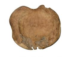 Cornbay Exklusive Wurzelholz-Schale 30 cm aus massivem Teak-Holz Natur