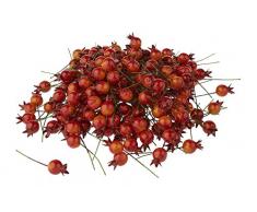 VBS Großhandelspackung 200 Deko-Hagebuten Berren am Draht Orange Floristik Basteln Kränze Dekoration Türkranz selber basteln DIY