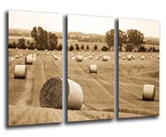 Wandbild - Landschaft Ländlicher Anbau, 97 x 62 cm, Holzdruck - XXL Format - Kunstdruck, ref.26221