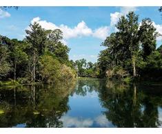 nobrand Kambodscha Angkor Tempel Geschichte Asien - DIY Ölgemälde Farbe von Number Kit