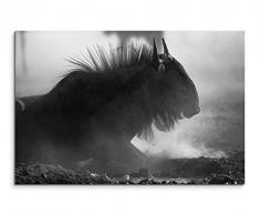 50x70cm Wandbild Fotoleinwand Bild in Schwarz Weiss Gnu in Kalahariwüste Süd Afrika