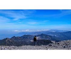 nobrand DIY Vorgedruckt Leinwand Ölgemälde Geschenk für Erwachsene Kinder Malen Nach Zahlen Kits Mit Holzrahmen Abenteuer Asien Hintergrund Backpacking