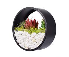 Ecosides Wand-PflanzgefäßE, Runde Eisen BlumentöPfe HäNgetöPfe Modern Wandvase Hängevase Blumenvase Mit Einfache Design Von Wandbehang Glasvase üBertopf Wohnkultur FüR Indoor Outdoor Garten Zimmer
