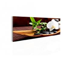 Bilder Feng Shui Orchidee Wandbild Vlies - Leinwand Bild XXL Format Wandbilder Wohnzimmer Wohnung Deko Kunstdrucke Braun 1 Teilig - MADE IN GERMANY - Fertig zum Aufhängen 502312a