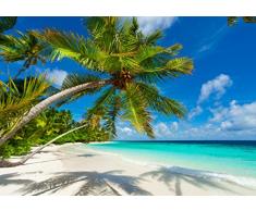 XXL Poster 100 x 70cm (S-838) Palme am Strand im Sonnenuntergang (Lieferung gerollt!)