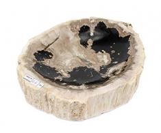 Dekoschale Versteinertes Holz (Fossiles Holz) Holzschale, Steinholz Fossilien