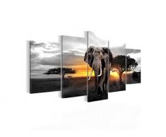 Bilder Afrika Elefant Wandbild 200 x 100 cm Vlies - Leinwand Bild XXL Format Wandbilder Wohnzimmer Wohnung Deko Kunstdrucke Gelb Grau 5 Teilig - MADE IN GERMANY - Fertig zum Aufhängen 001251c