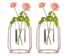 Nuptio Vasen 2er Set Glasvasen mit Metallrahmen, Modernen Roségold Rahmen 16cm Höhe, Transparenten Vasen Pflanzterrarien, Blumenhalterdekorationen für Hochzeit, Wohnzimmer, Büro, Party
