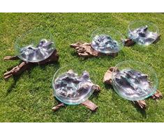 Wurzelholz Glas Vase XL, Deko Schale XL,Wurzel Holz Schale XL,Teakholz Deko Glas,Wurzelholz GlasSchale XL, LiqvaSchale XL,Gamal Schale XL,Root Molten Schale XL, Blumenvase XL, Design vase XL