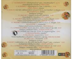 Dankeschön - Blumenstrauss der schönsten klassischen Melodien