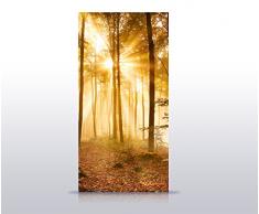 wandmotiv24 Türtapete Wald am Morgen 100 x 200cm (B x H) - Dekorfolie selbstklebend Tapete, Tür-Aufkleber, Türbild, Wandbild M0391
