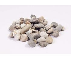 NWN Buntkies/Rheinkies | 15 KG | 20-40 MM | bunt | Dekosteine | Ziersplitt für Garten (1x 15 KG)