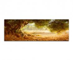 Panoramabild auf Leinwand und Keilrahmen 120x40cm Olivenbaum Wald Sonnenlicht