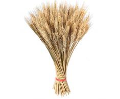 Natürliche Weizen Deko Getrocknete Blumen Deko-Grasbouquet, 100 Stücke/kit trockenes Deko-Gras für Blumenstrauß, Requisiten, künstliche Blumen und für Heim- oder Partydekorationen