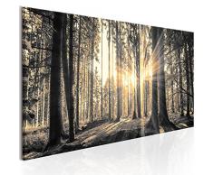 murando - Bilder Wald 200x80 cm Vlies Leinwandbild 5 TLG Kunstdruck modern Wandbilder XXL Wanddekoration Design Wand Bild - Waldlandschaft Natur Panorama Baum c-C-0177-b-o