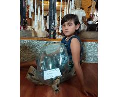 Wurzelholz Glas Vase XXL, Geschenk Deko Glas XXL, Einzigartige Gamal XXL, Wurzel Holz Liqva XXL, Teakholz Glas Vase XXL,Kaffeebaum Vase XXL, Blumenvase XXL, Design vase XXL