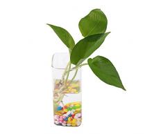 Zerodis Hängevase Wandvase Pflanzengefäße Garden Flasche Vase für Pflanzen Blumen Hausdekoration Glas Transparent(Pattern 5)
