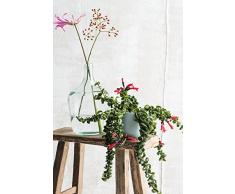 MICA Decorations Diego Glasflasche/Vase, Glas, transparent, H. 42 cm D. 27 cm