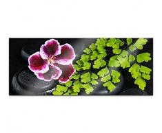 Acrylglasbild 100x40cm Wellness Feng Shui Steine Orchidee Spa Acrylbild Acryl Bild UV Druck Acrylglas Tierwelt Acrylglasbilder 14G233