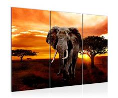Bilder Afrika Elefant Wandbild 120 x 80 cm Vlies - Leinwand Bild XXL Format Wandbilder Wohnzimmer Wohnung Deko Kunstdrucke Orang 3 Teilig -100% MADE IN GERMANY - Fertig zum Aufhängen 001231a
