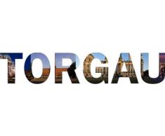 INDIGOS UG - WANDTATTOO / Wandsticker / Wandaufkleber / Aufkleber farbige Wandschrift Städtename Torgau mit Sehenswürdigkeiten 180 x 29 cm Länge