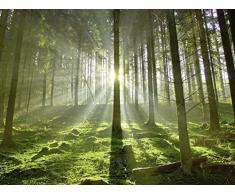 Artland Wandbilder selbstklebend aus Vliesstoff oder Vinyl-Folie Hubert Körner Wald im Gegenlicht Landschaften Wald Fotografie Grün A6GJ
