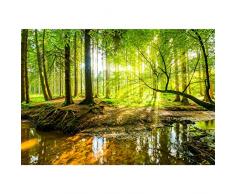 Fototapete Wald 396 x 280 cm Vlies Wand Tapete Wohnzimmer Schlafzimmer Büro Flur Dekoration Wandbilder XXL Moderne Wanddeko - 100% MADE IN GERMANY - Runa Tapeten 9141012a