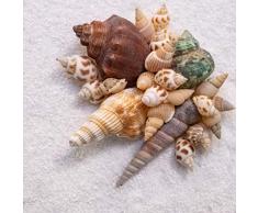 Dekovita 2kg Deko-Sand inkl. Muscheln Farbsand Set Streusand 1-4mm Streugranulat Sand-Granulat Weiß