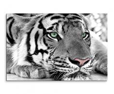 Sinus Art Leinwandbild 120x80cm Künstlerische Fotografie – Weißer Tiger mit grünen Augen