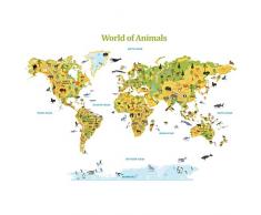 DECOWALL DLT-1816 Welt der Tiere Wandtattoo Wandsticker Wandaufkleber Wanddeko für Wohnzimmer Schlafzimmer Kinderzimmer