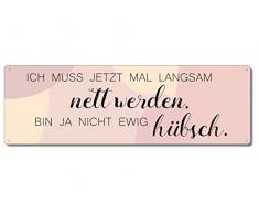 Interluxe Metallschild - Ich muss jetzt mal langsam nett Werden - Schild mit Spruch als Geschenk für Single-Freundin oder Freund