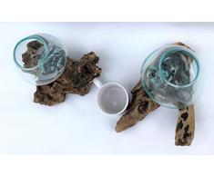 2 Wurzelholz Glas Vase2 M, 2 Deko Gläser M, 2 Teakholz Gläser, 2 Gamal M, 2 Wurzel Holz Liqva M, 2 Teakholz Glas Vase M, 2 Kaffeebaum Vase M, 2 Blumenvase M, 2 Design vase M